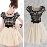 Vintage Lace Dress